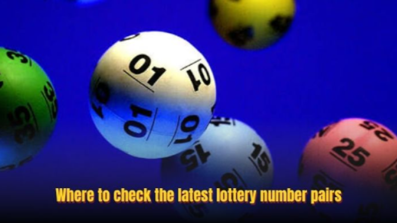 Lottery Number Pairs Today: Latest Results, Trends And Insights