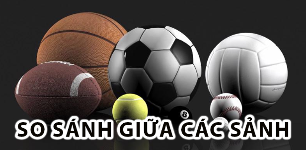 Prestigious Sports Hall – Top Destination For Long-time Members