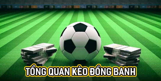 Half Ball Odds – Understand Correctly To Bet Effectively