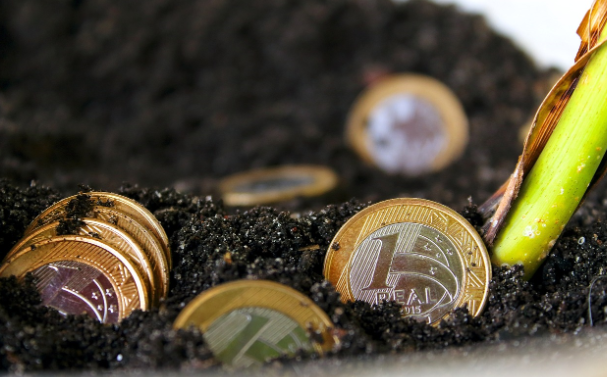 How Cryptocurrency Is Changing the Game for Bettors