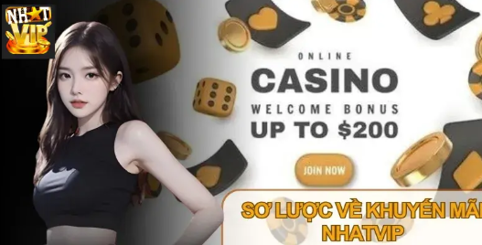 Nhatvip promotions – a foundation for players who value proactive and sustainable gameplay